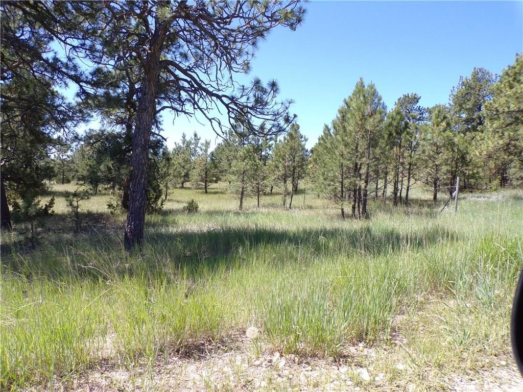 1 Springfield Trl, Roundup, MT 59072 Trulia