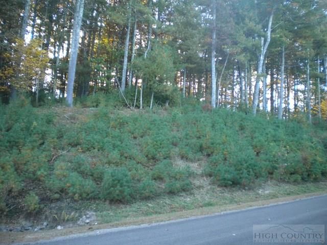 Lot 3 Pine Chase, Glade Valley, NC 28627
