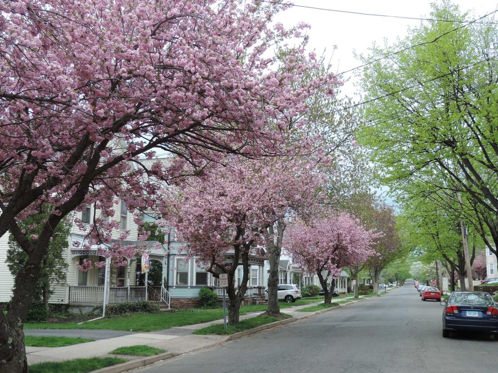 115 Church St #2, Wallingford, CT 06492
