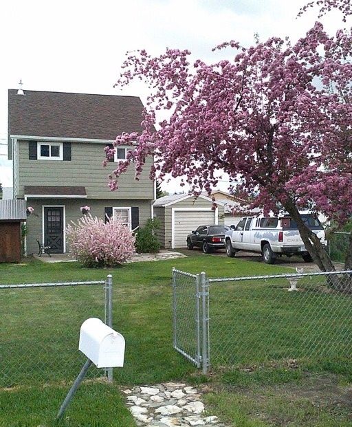 2506 Nettie St, Butte, MT 59701