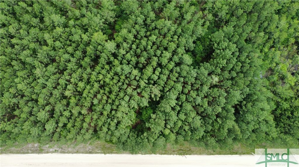 Arnall Dr, Ludowici, GA 31316 Trulia