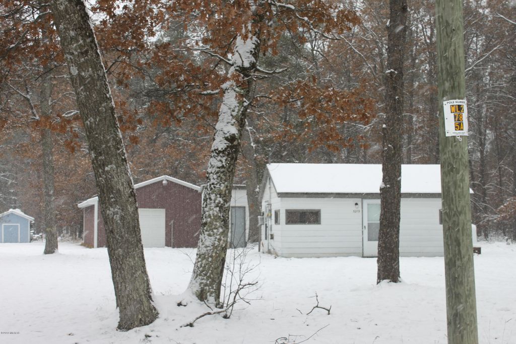 5219 N May Rd, Luther, MI 49656 Trulia