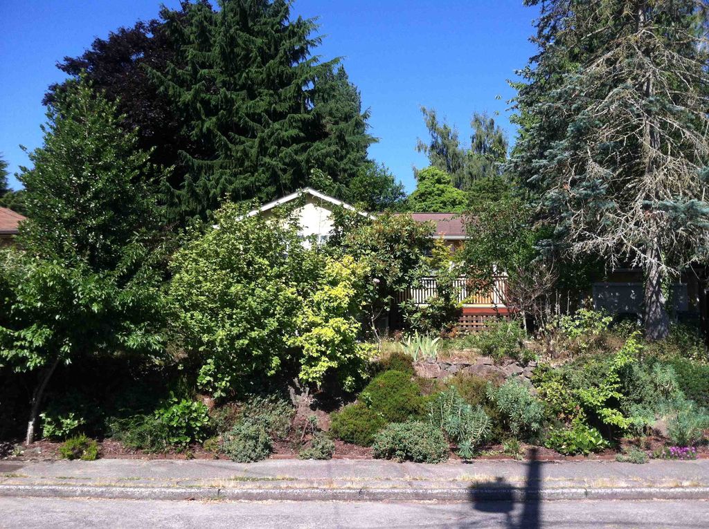 8915 17th Ave NE, Seattle, WA 98115