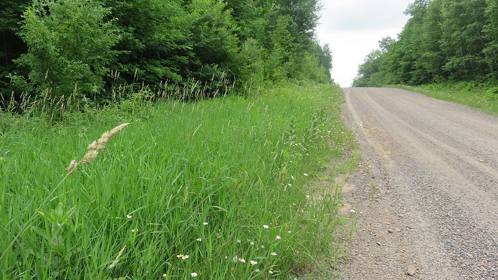 N Deer Lake Rd, Exeland, WI 54835 Trulia