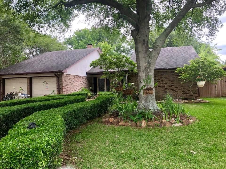 Trulia Bay City Tx