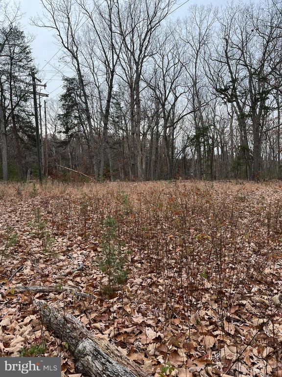 31250 Zoar Rd, Locust Grove, VA 22508 Trulia