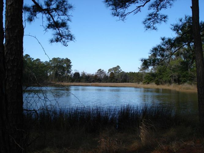 Clearwater Way, Belle Haven, VA 23306 Trulia