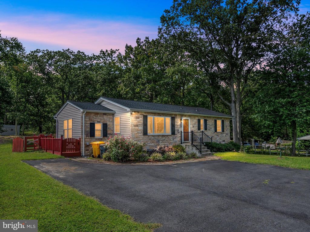 Angel City Foster Homes For Pit Bulls Near Me Local Pitbull