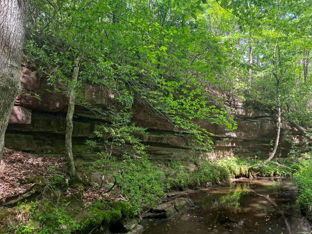 Photo 9 of 