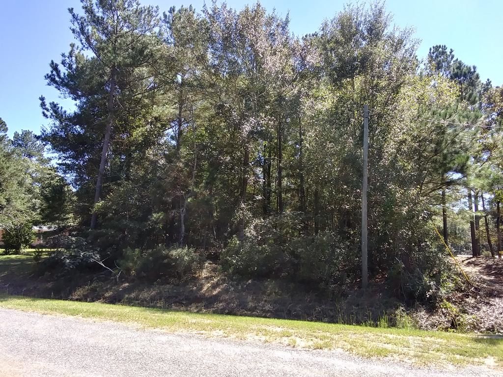 Glover Rd, Davisboro, GA 31018 Trulia