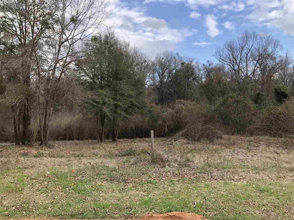 509 Wooden Eagle Trl, Kathleen, GA 31047 Trulia