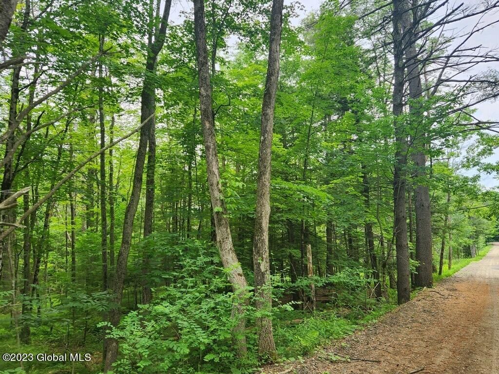 L18 Barkersville Rd, Galway, NY 12074 MLS 202320091 Trulia