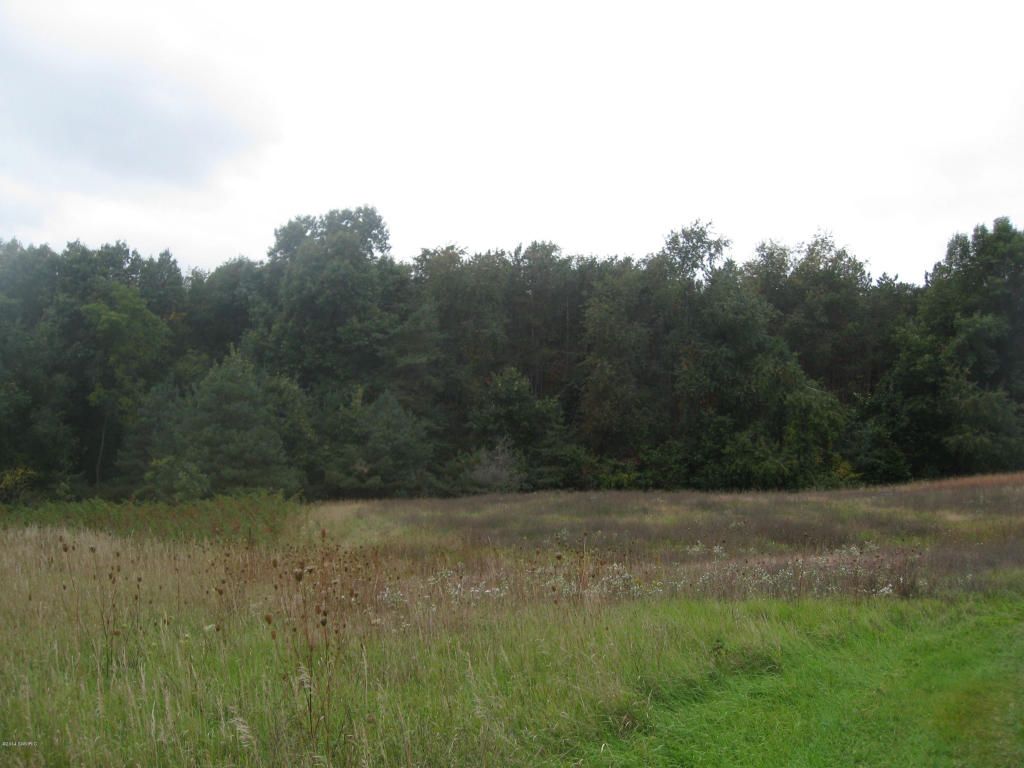 9801 Alden Nash Ave SE, Alto, MI 49302 Trulia