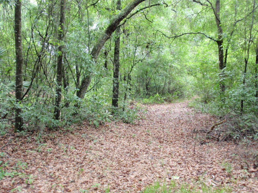 130 Phinney Trailer Park Rd, Palatka, FL 32177 Trulia