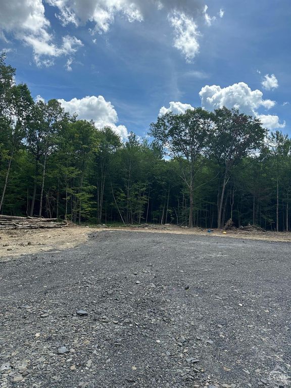 65 Clickman Rd 3, Westerlo, NY 12193 MLS 153510 Trulia