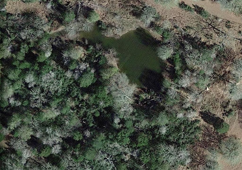 Private Road 1063, Paige, TX 78659