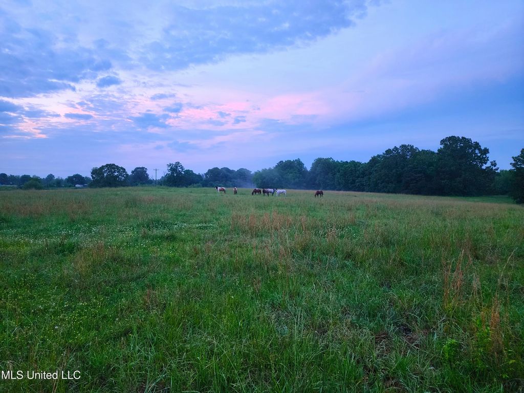 Old Highway 7 S, Holly Springs, MS 38635