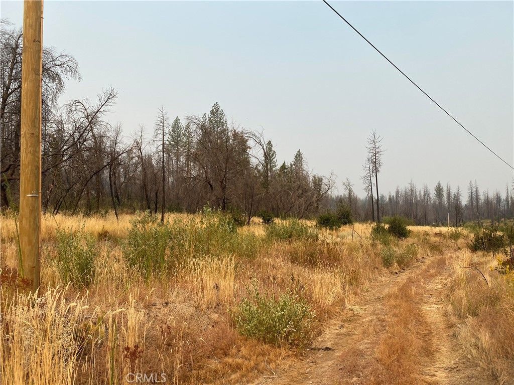 Simpson Ranch Rd, Berry Creek, CA 95916 MLS OR22199102 Trulia