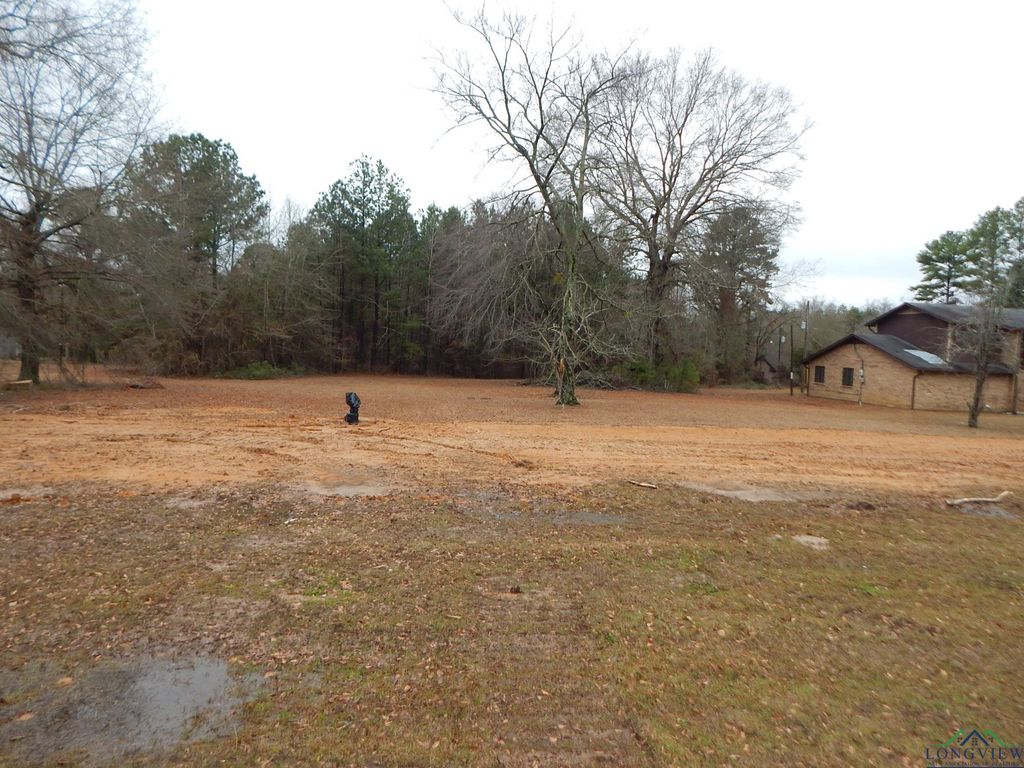 11.66 E Richey Rd, White Oak, TX 75693 MLS 20240418 Trulia