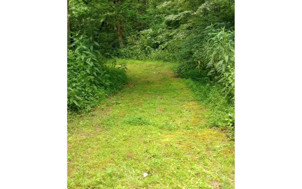 Big Creek Rd, Ellijay, GA 30536 MLS 330746 Trulia