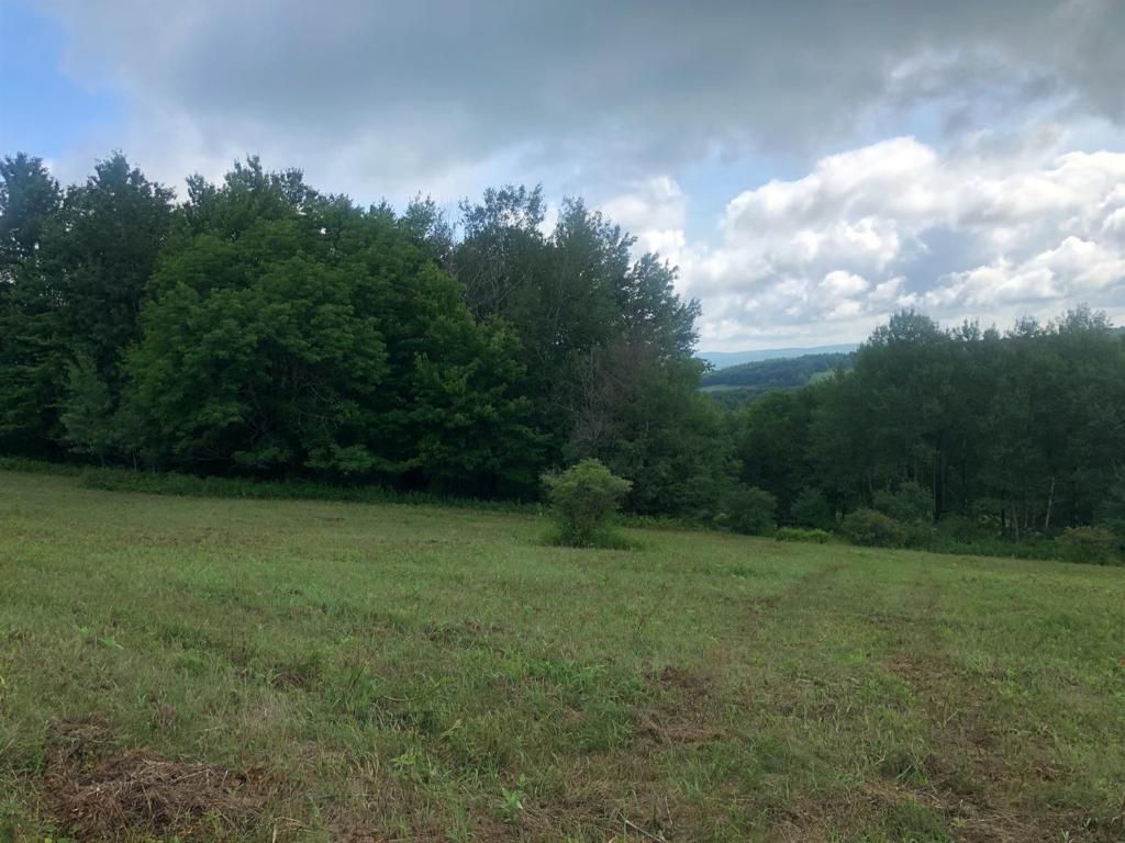 3 Pomeroy Rd, Franklin, NY 13775 Trulia