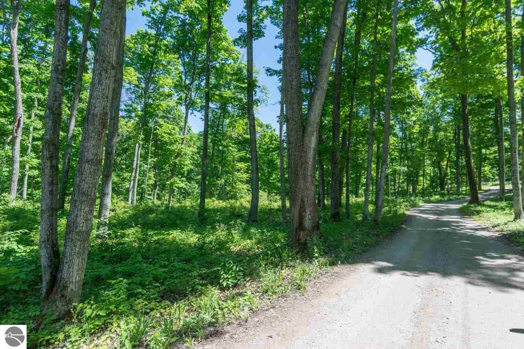 3700 W Cheney Woods Trl, Maple City, MI 49664 Trulia