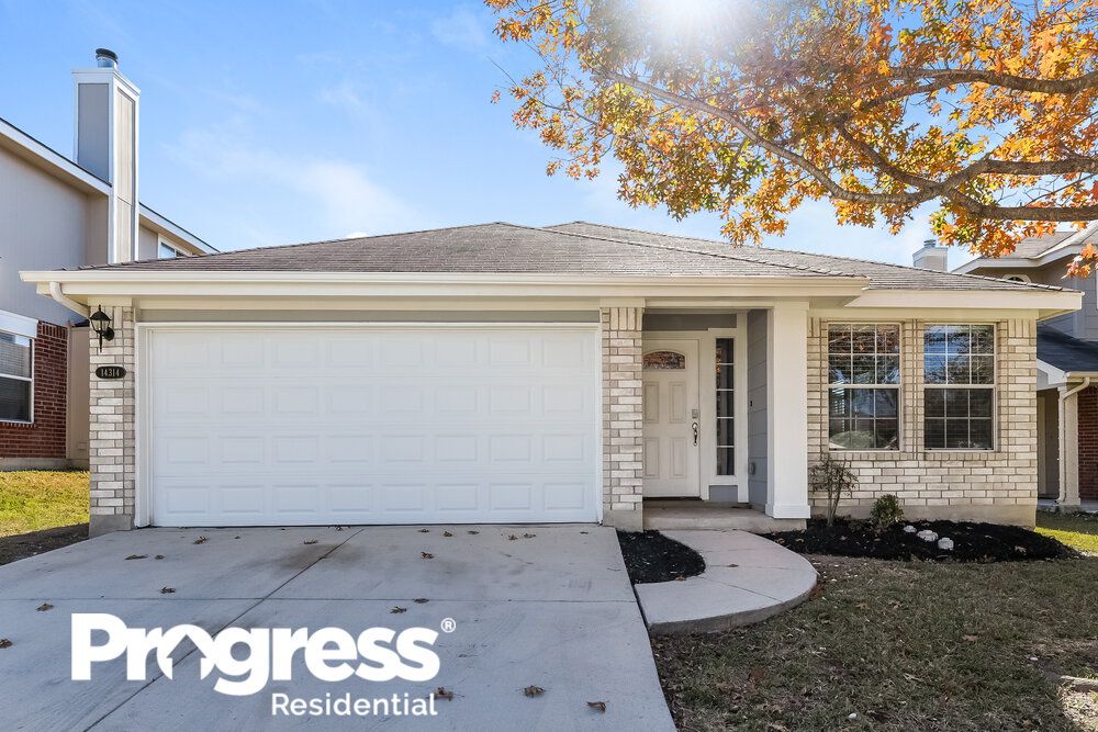 14314 Yellow Warbler, San Antonio, TX 78233