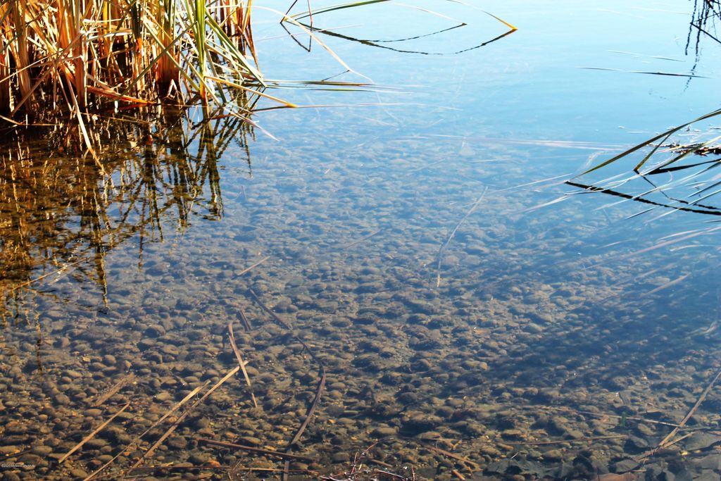 12025 Lake Maud Trl, Audubon, MN 56511 Trulia