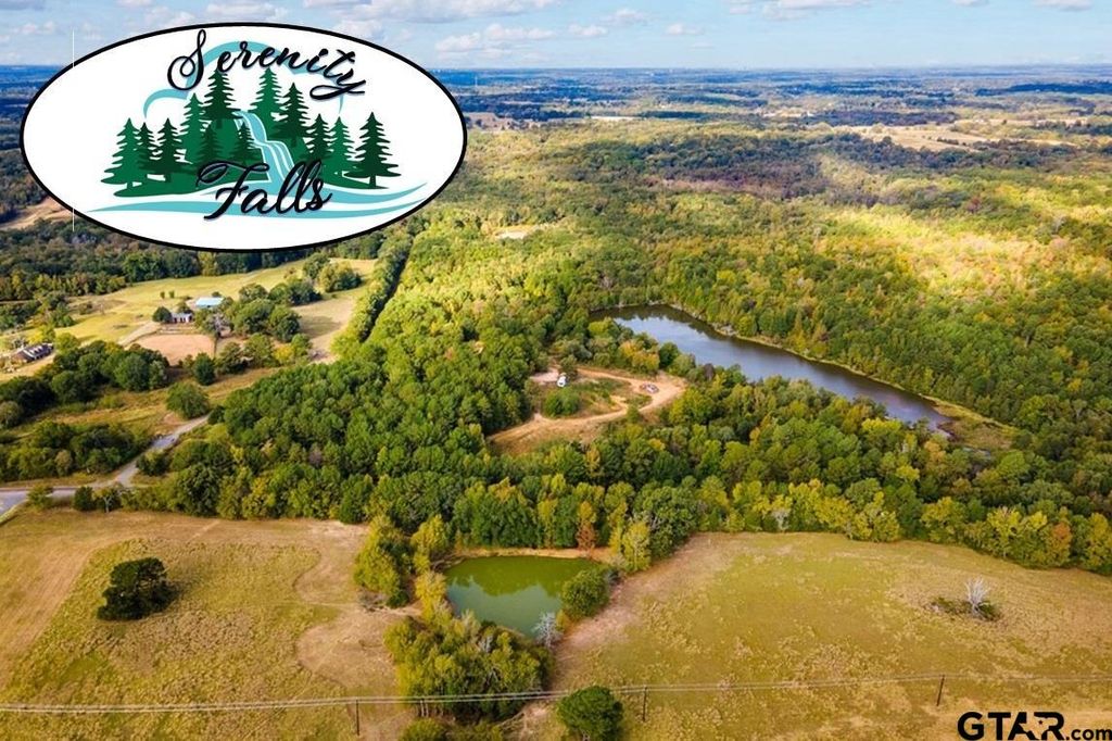 12581 FM 2607, Arp, TX 75750 Lot/Land for Sale MLS 10158484