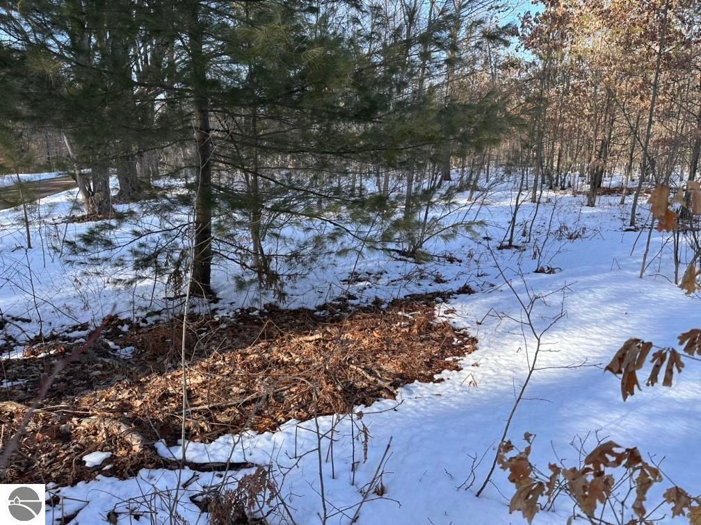 Lot F Betsie River Rd, Interlochen, MI 49643