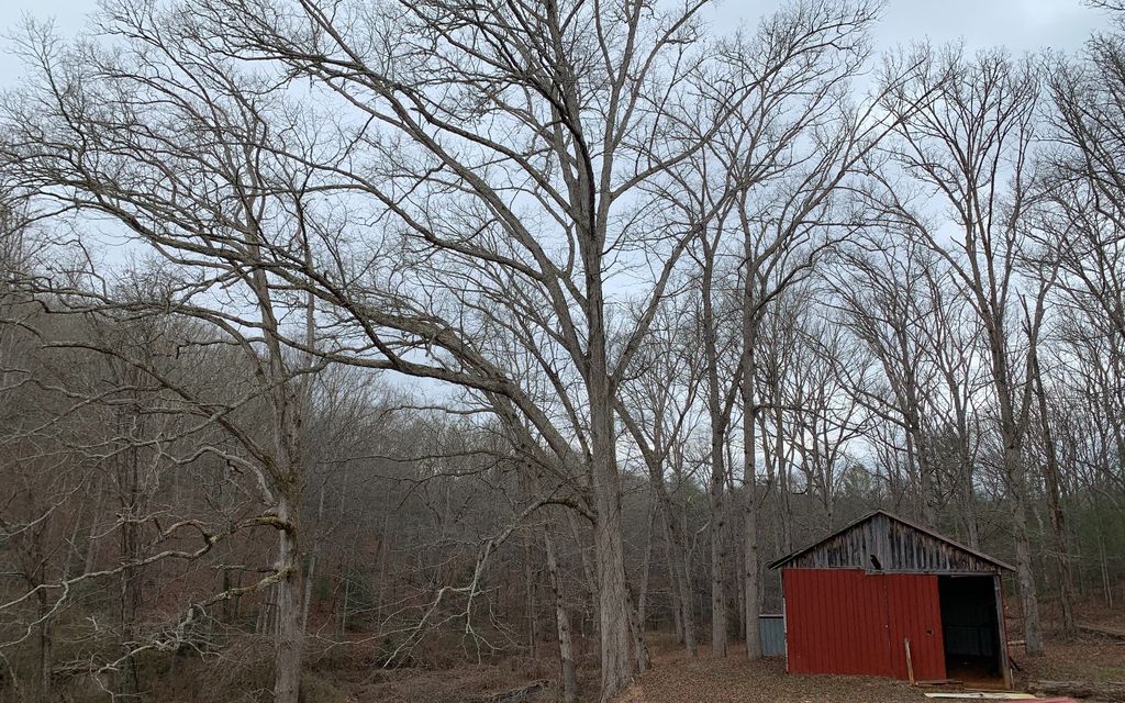 Old River Camp Rd, Copperhill, TN 37317 Trulia