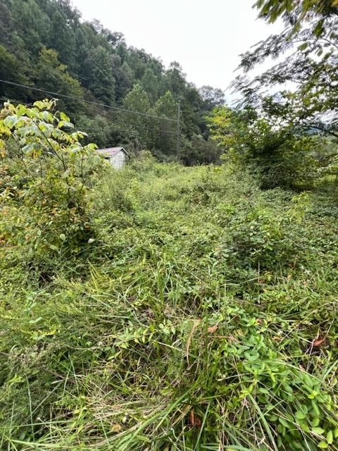 State Route 3385, Prestonsburg, KY 41653