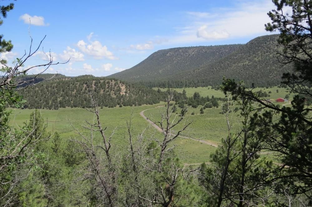 Armijo Springs Rd, Quemado, NM 87829 Trulia