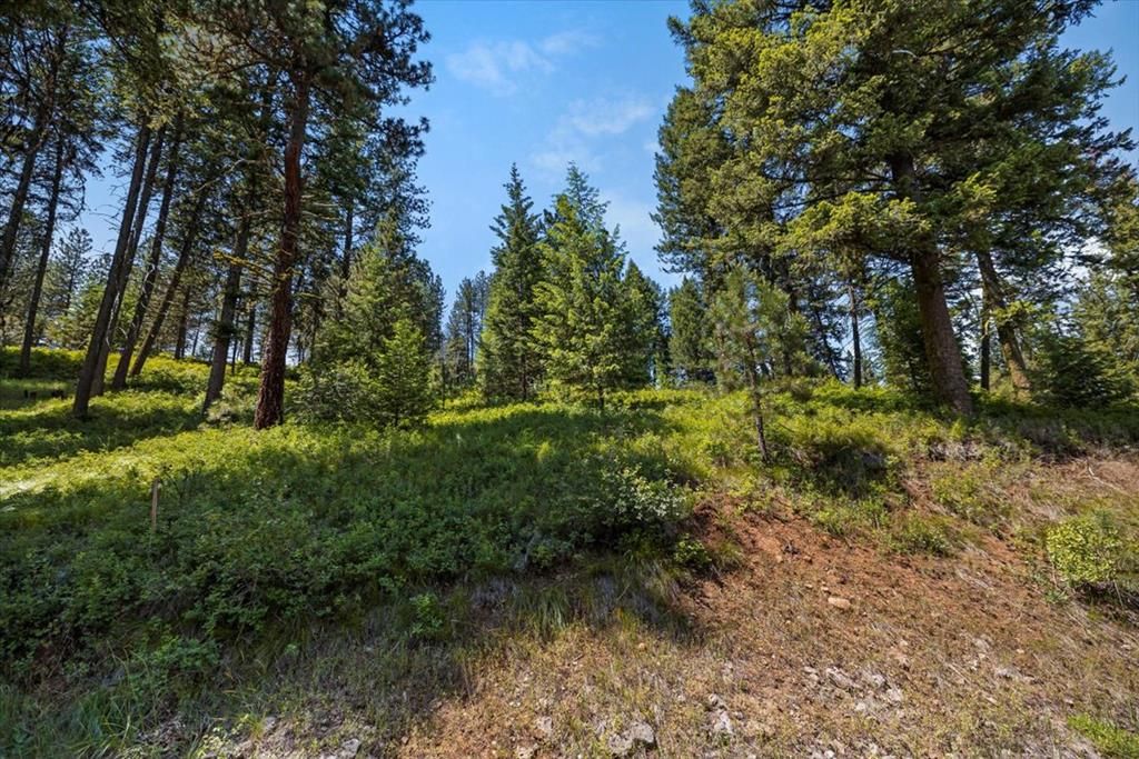 L5B29 Sorrel Dr, New Meadows, ID 83654 MLS 536873 Trulia