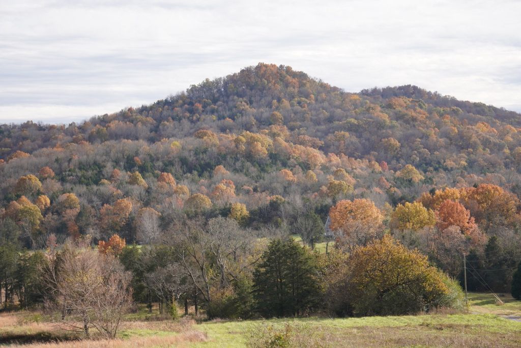 Old Highway 96, Auburntown, TN 37016 Trulia