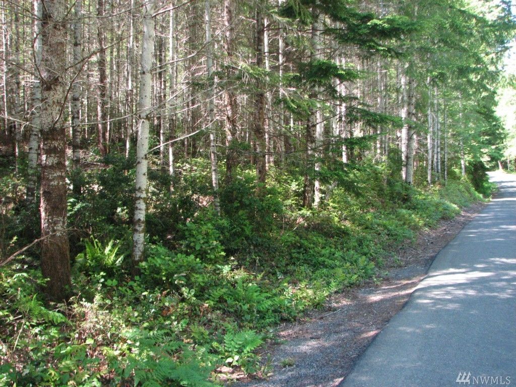 19 Acres Dewatto Rd, Seabeck, WA 98380 Trulia