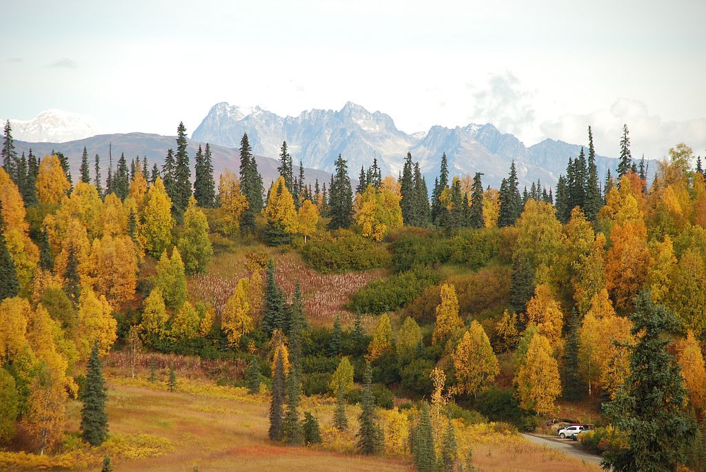 Cache Creek Land, Trapper Creek, AK Lot/Land 32 Photos Trulia