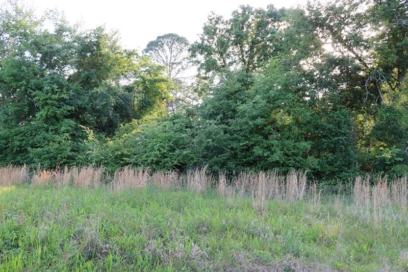 Lakeshore Rd 3939A, Pelham, GA 31779 Trulia