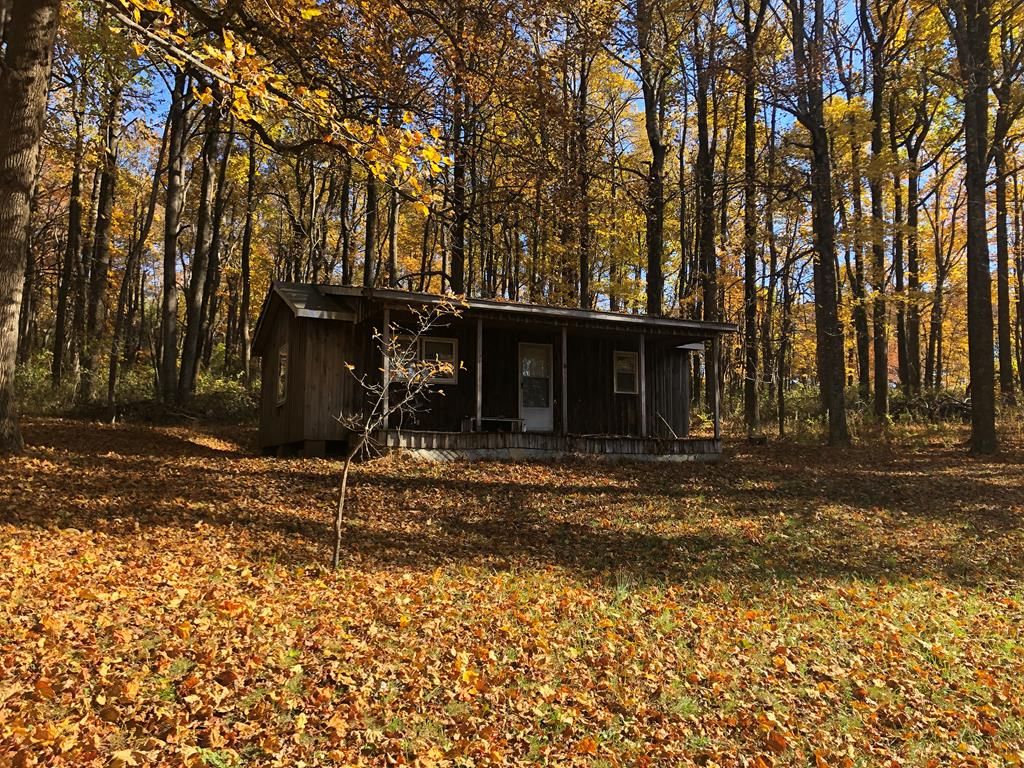 Mountain View Rd, Meadows Of Dan, VA 24120 Trulia