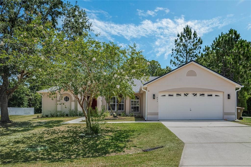 933 Van Loon Ct, Kissimmee, FL 34758 - See Est. Value, Schools &amp; More