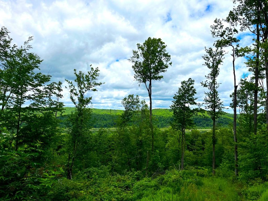 Co Rd 20, Cuba, NY 14727 MLS 11283044 Trulia