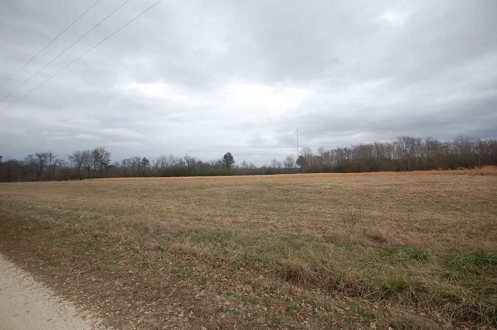 42 Nelson Ln, Denmark, TN 38391 Trulia