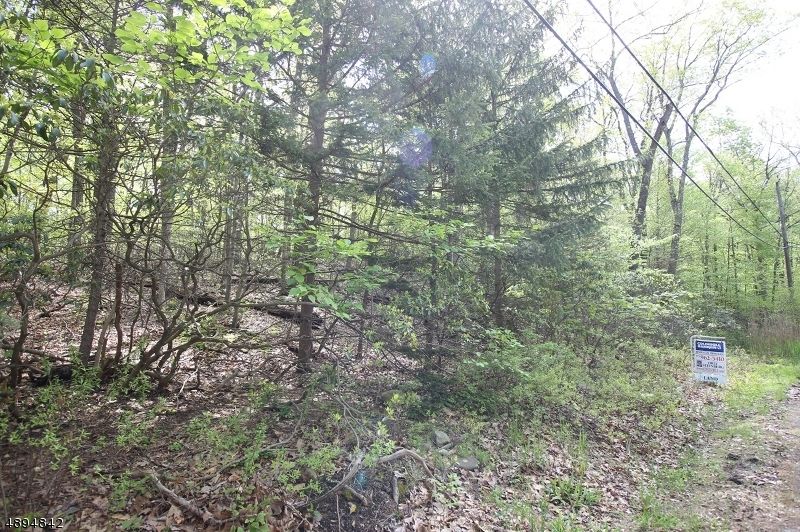 00 Tulip Ave, Ringwood Boro, NJ 07456 Trulia