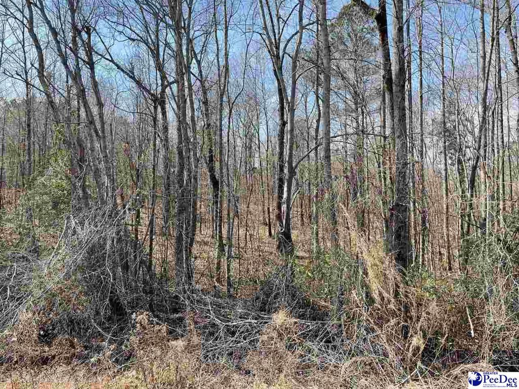 177 Highway, Wallace, SC 29596 Trulia