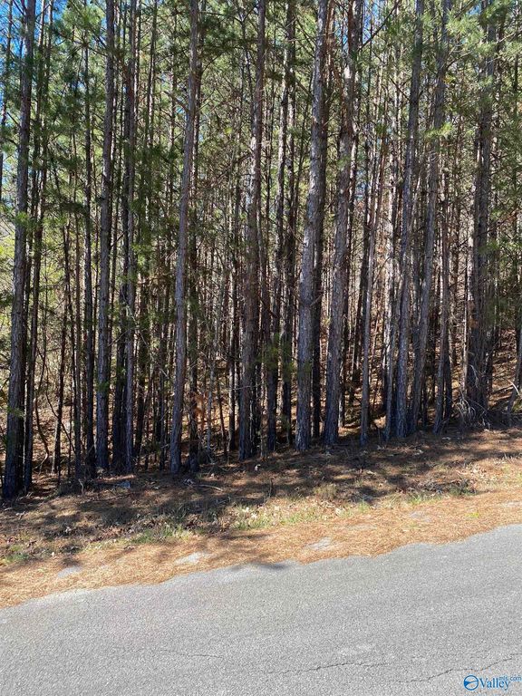 Lot 4 Alyson Ave NW, Fort Payne, AL 35968
