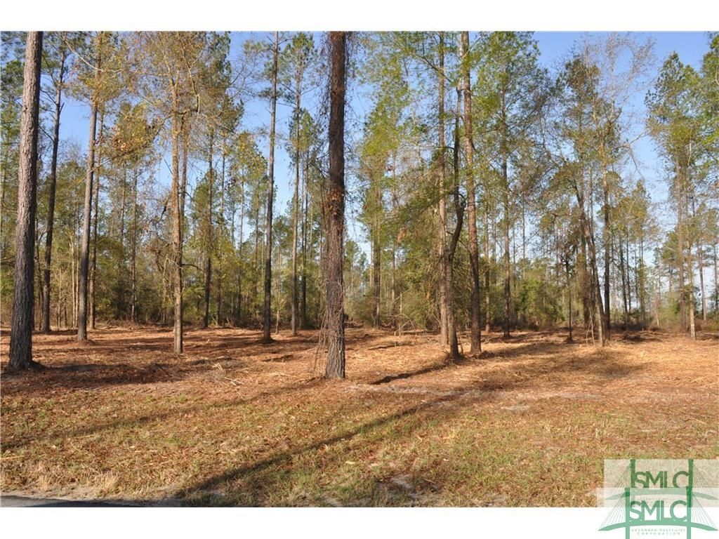 Bulloch Bluff Dr 24, Brooklet, GA 30415 Trulia