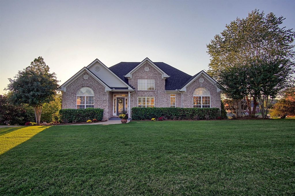 homes for rent in pleasant view tn