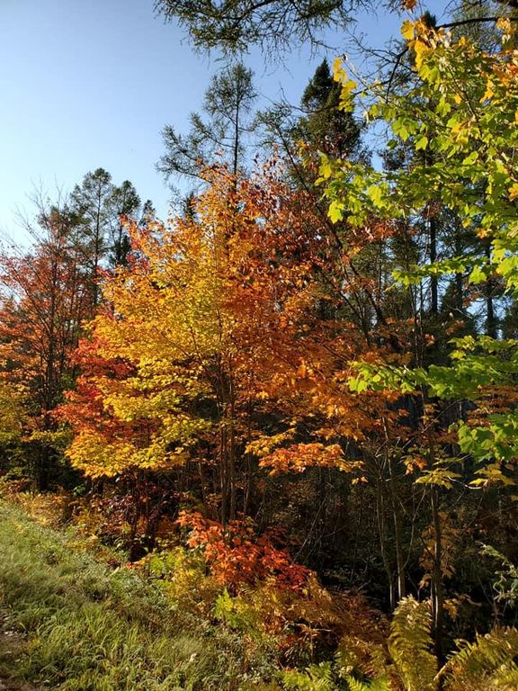 Watersmeet Lake Rd #10 2, Eagle River, WI 54521 | Trulia