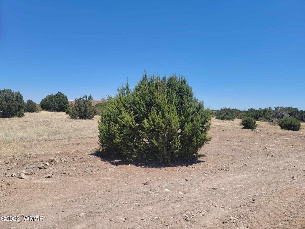 8430 Lake View Dr, Show Low, AZ 85901