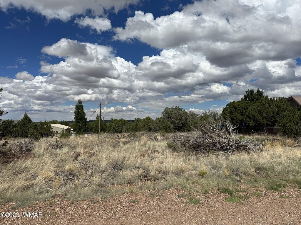 8464 Ridge Dr, Show Low, AZ 85901